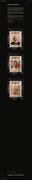 Screen